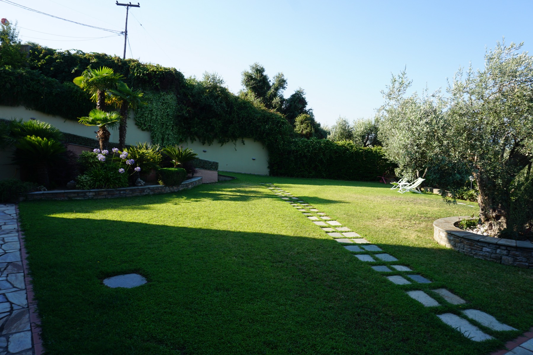 Garden lawn