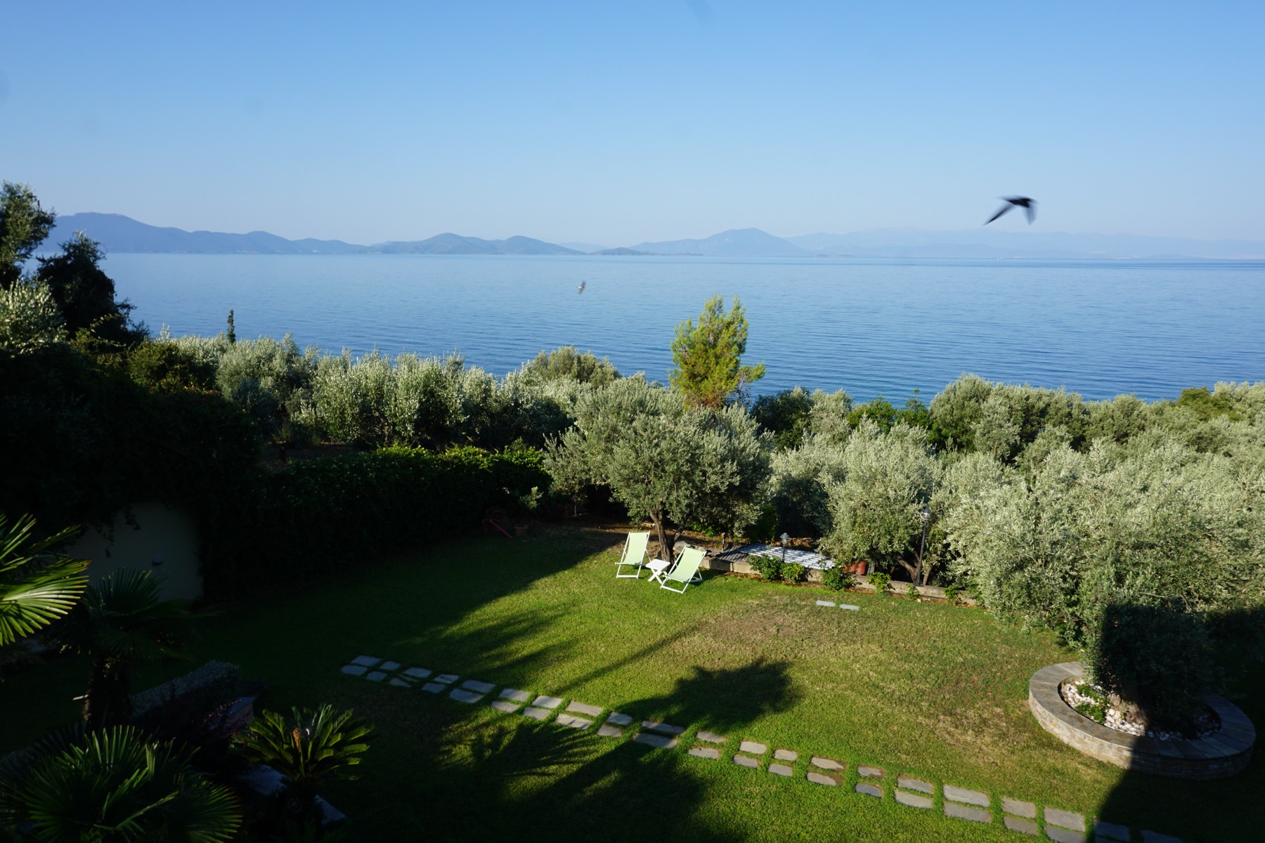 Garden and sea view