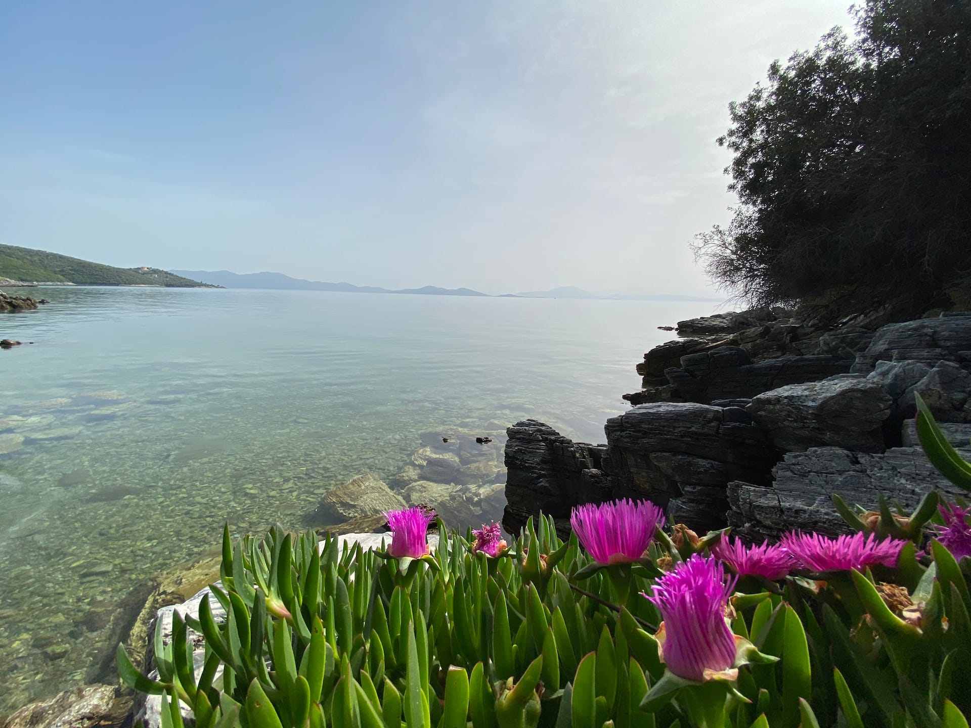 Crystal clear waters
